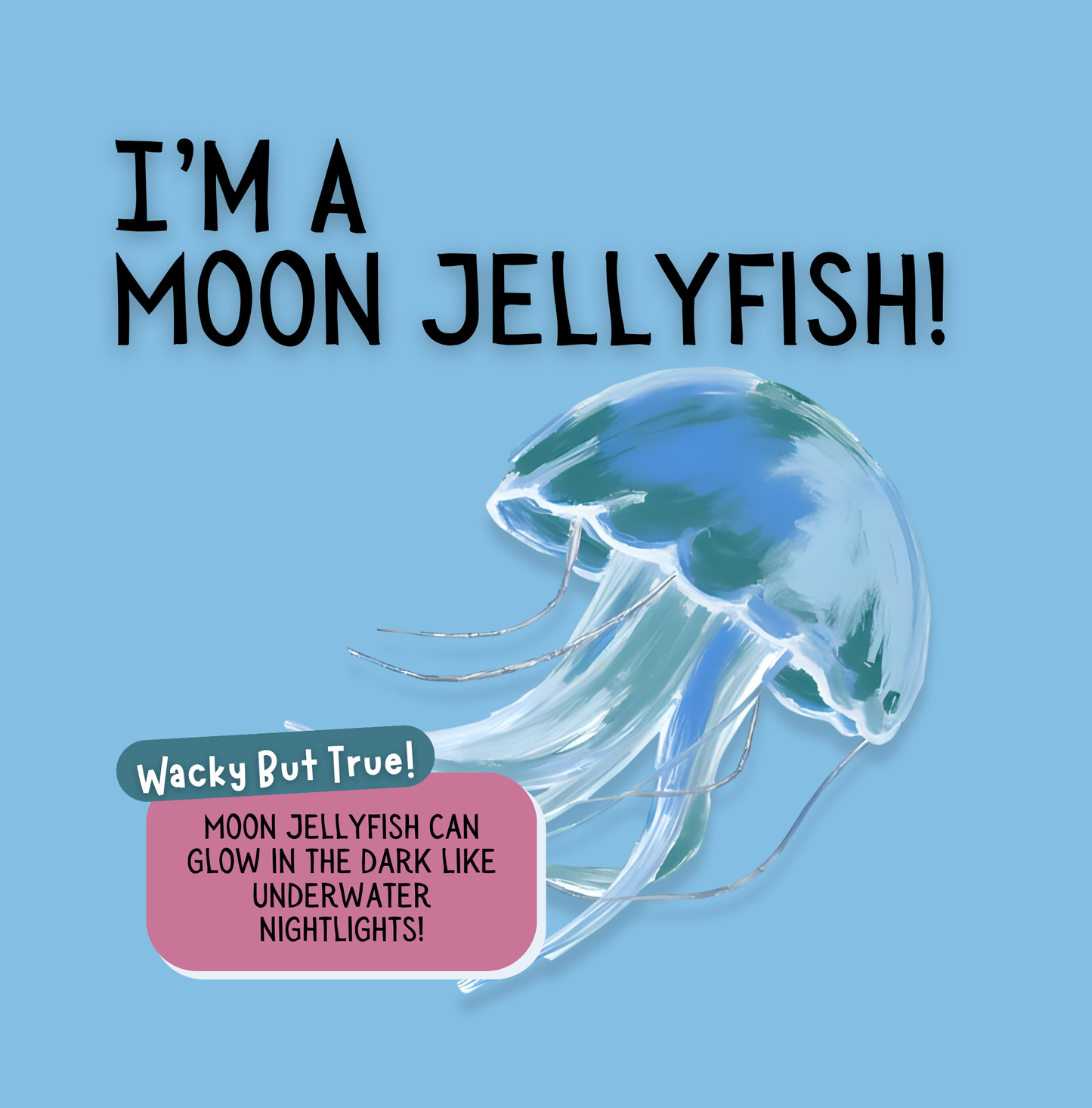 Search & Find - Ocean Animals