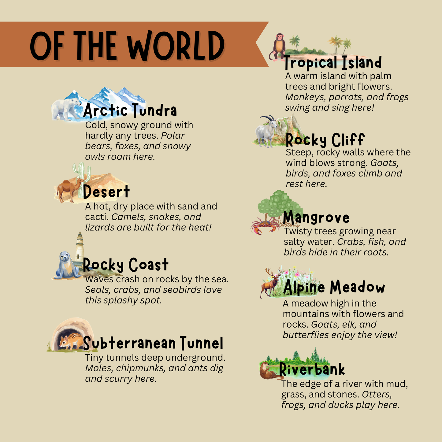 Search & Find - Animals in the Wild