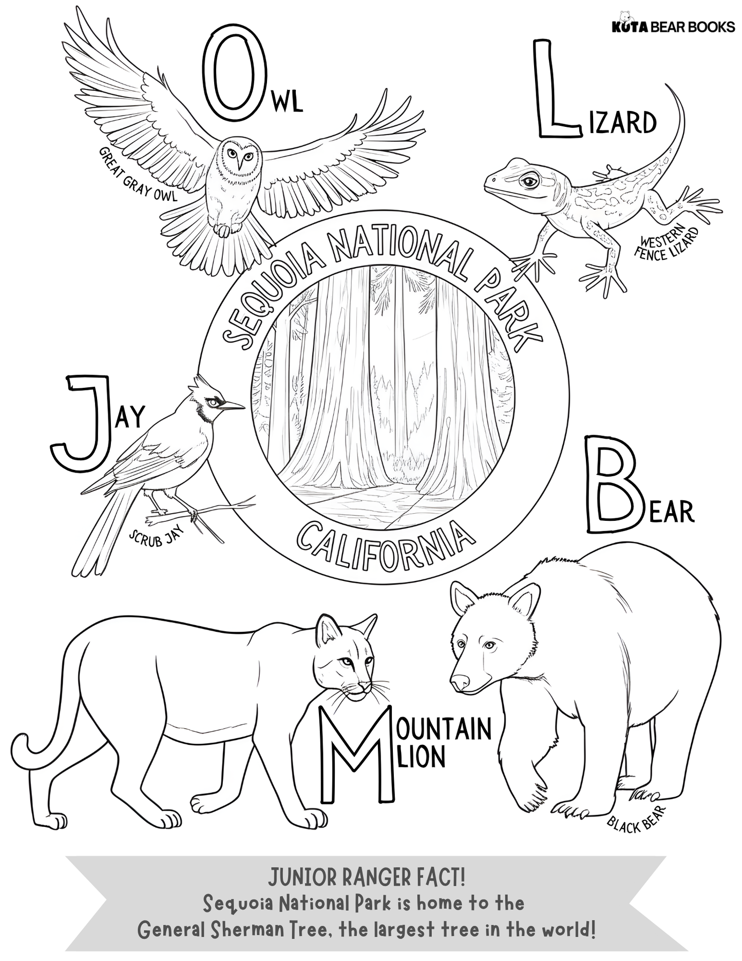 Western Wonders National Parks Animal Adventure Pack