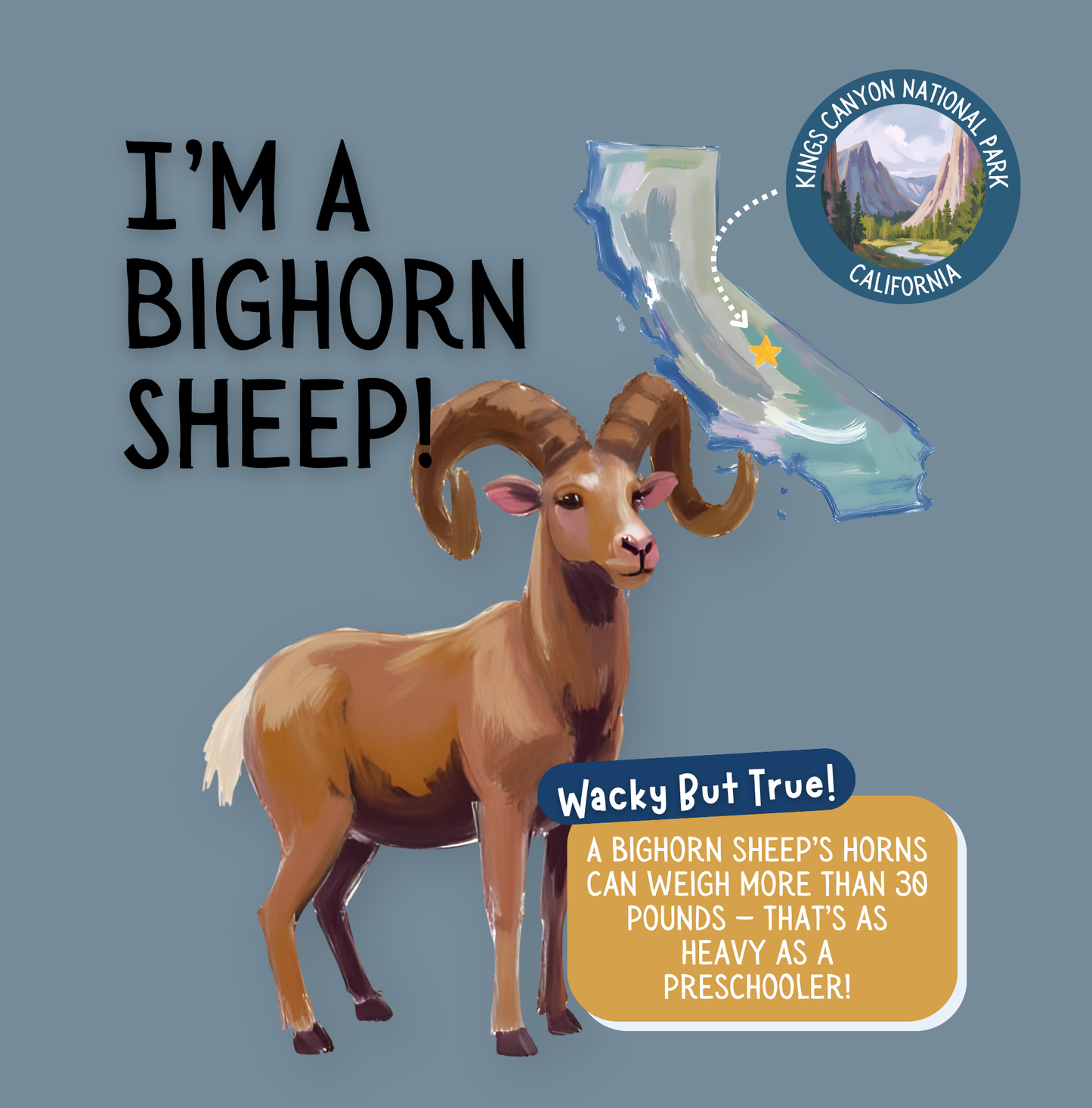 Search & Find National Parks Animals - Western Wonders