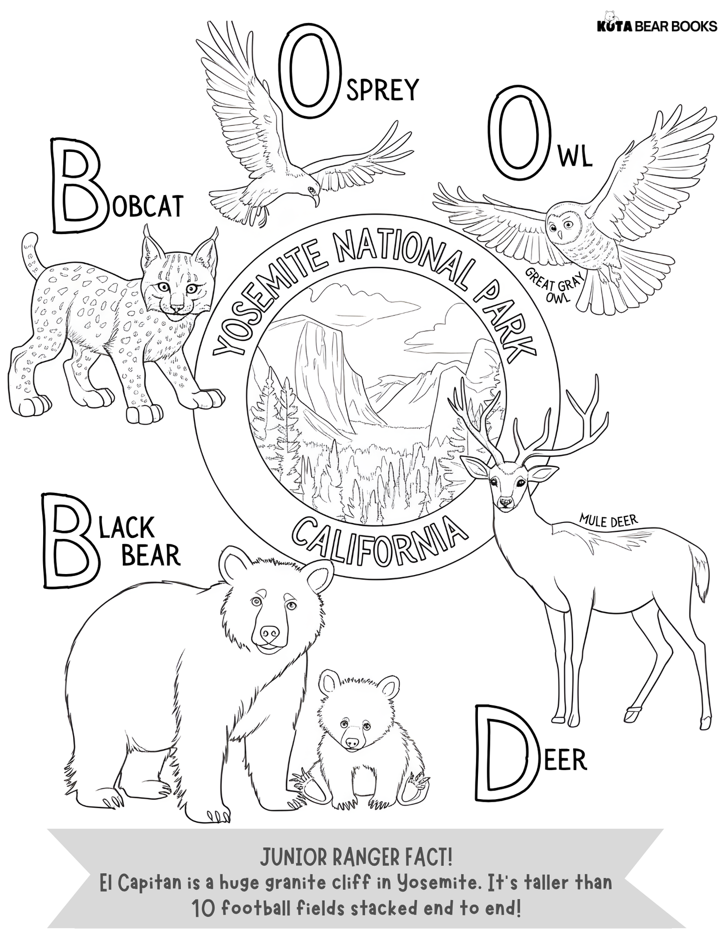 Western Wonders National Parks Animal Adventure Pack