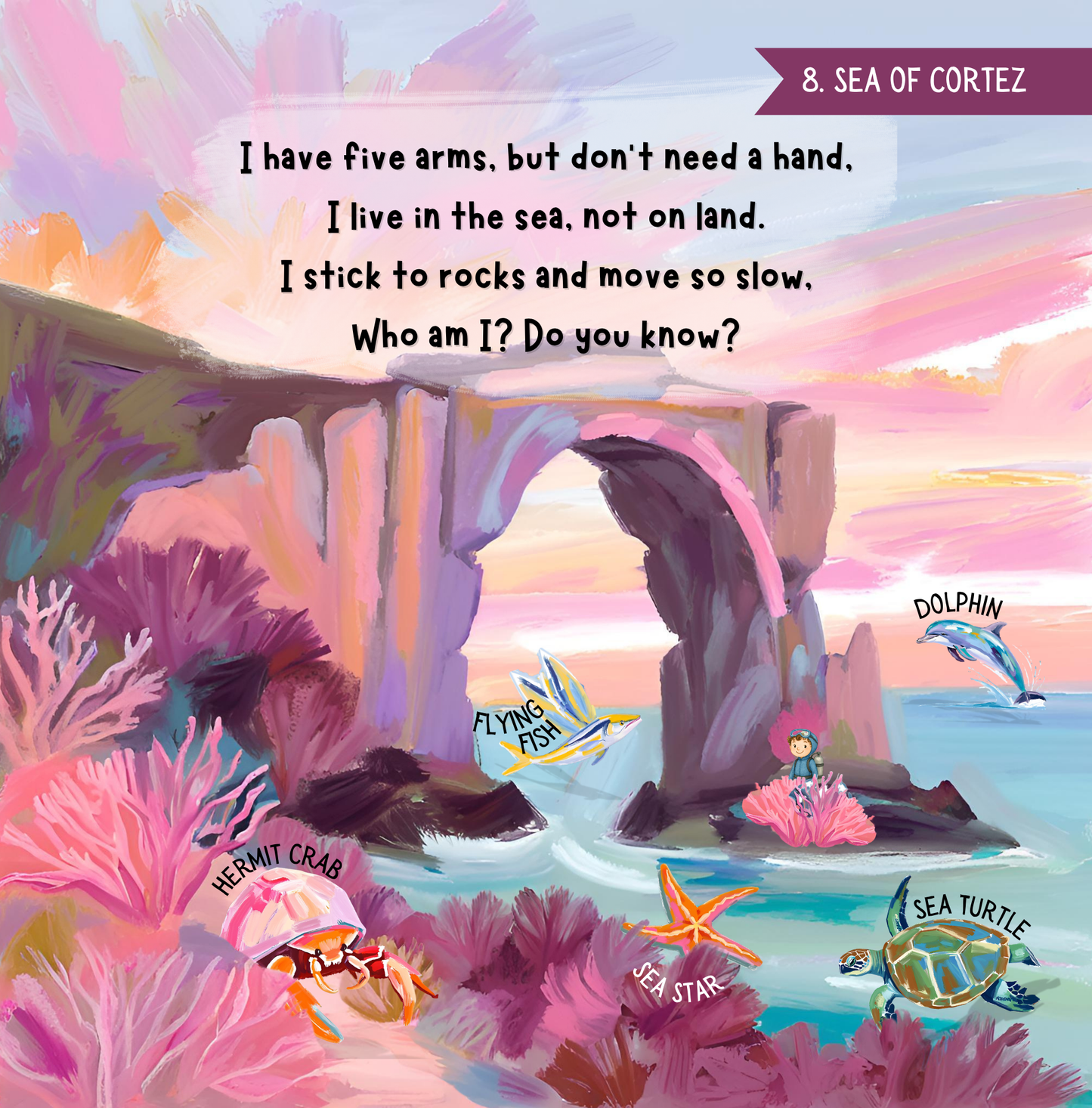 Search & Find - Ocean Animals