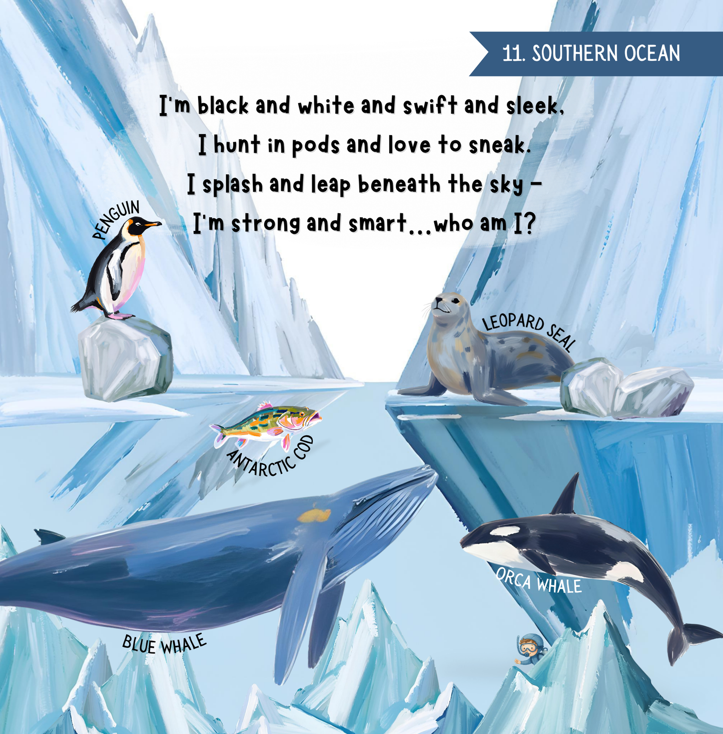 Search & Find - Ocean Animals