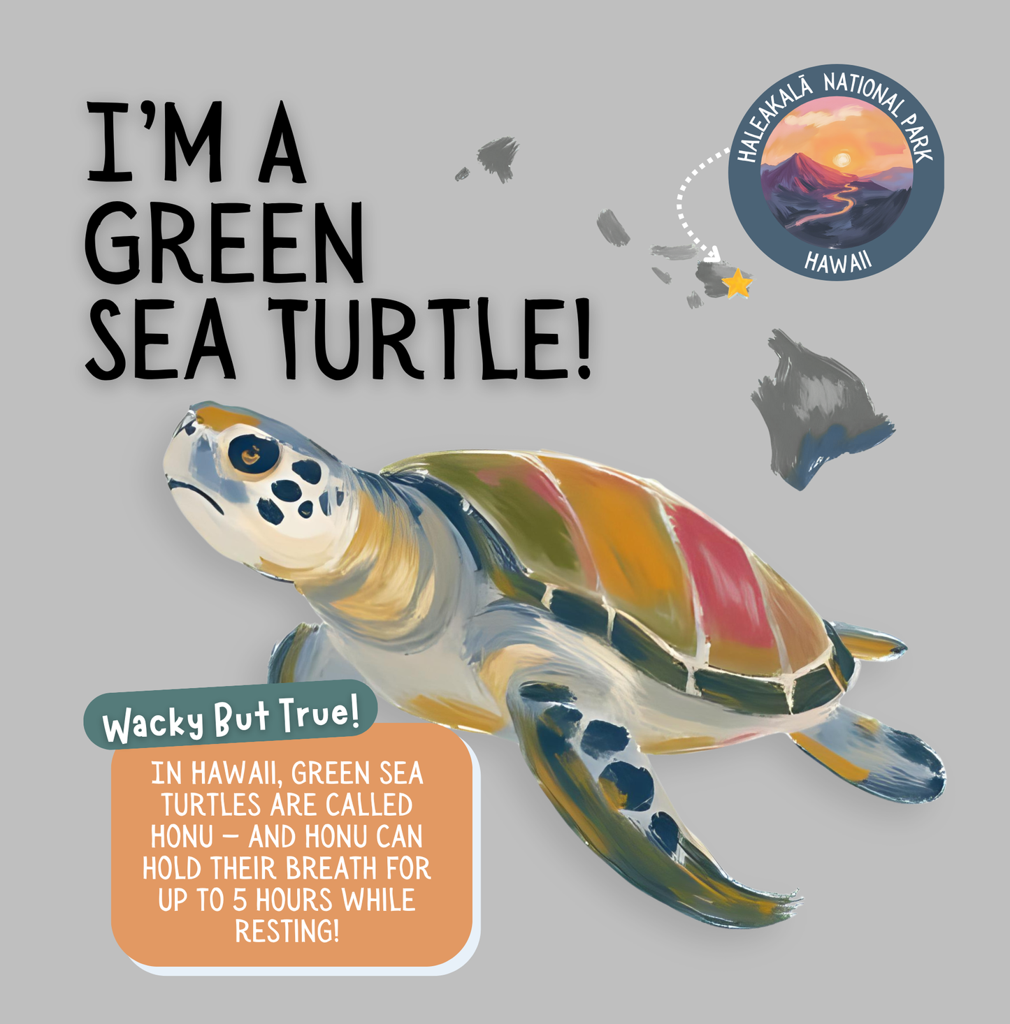 Search & Find National Parks Animals - Western Wonders