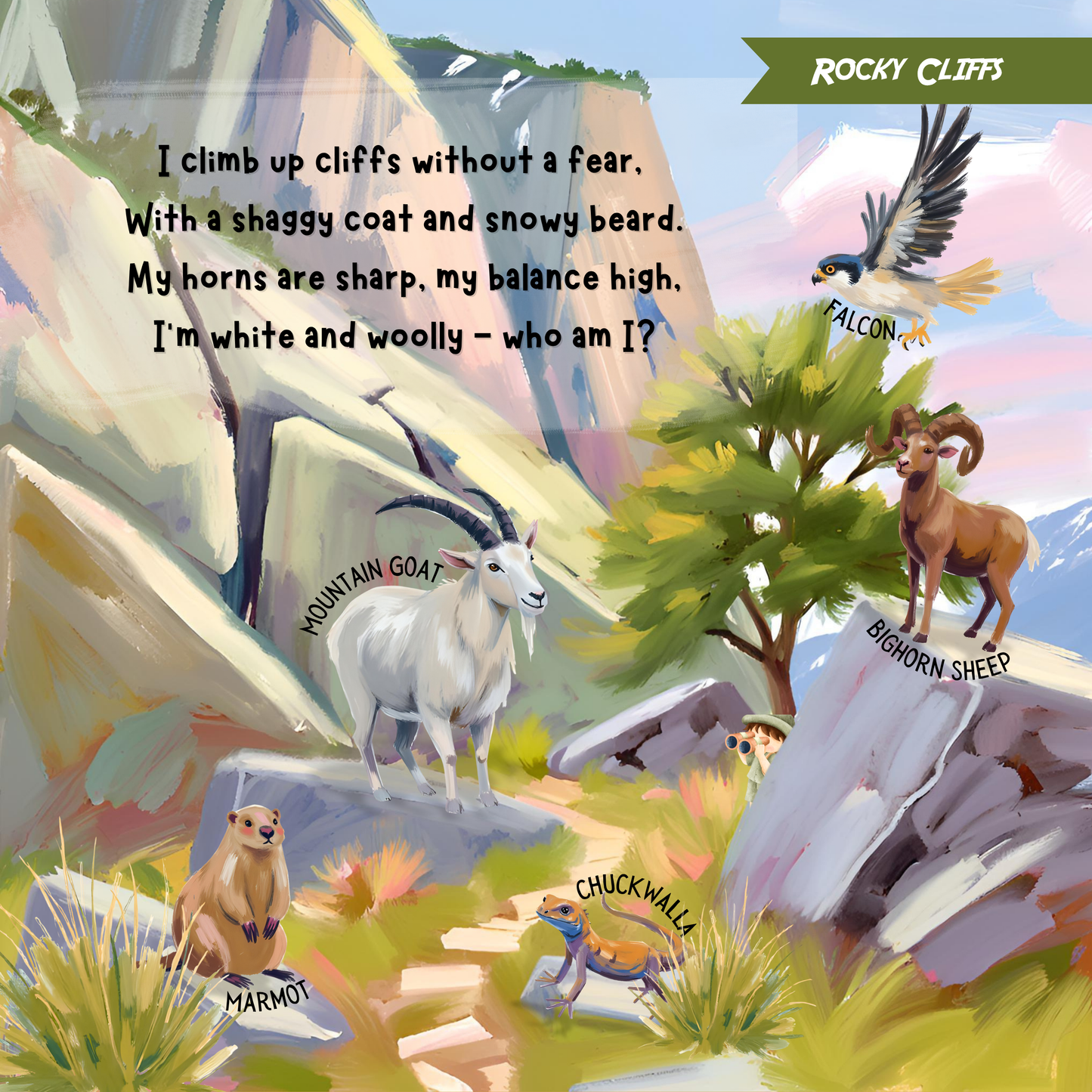 Search & Find - Animals in the Wild