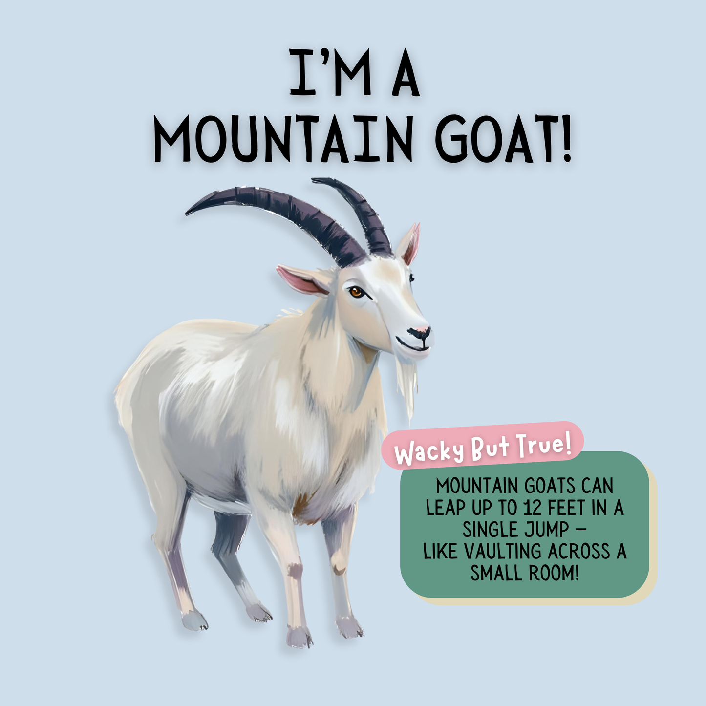 Search & Find - Animals in the Wild