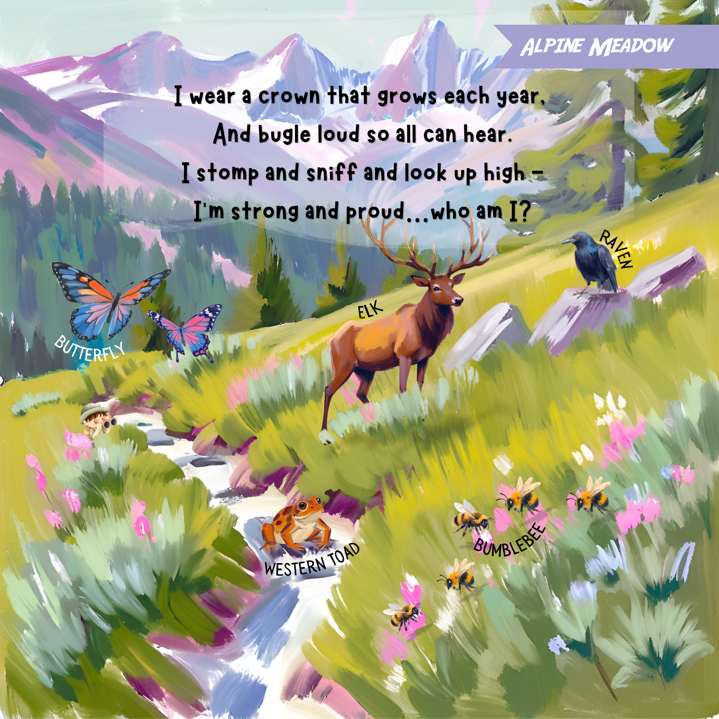 Search & Find - Animals in the Wild