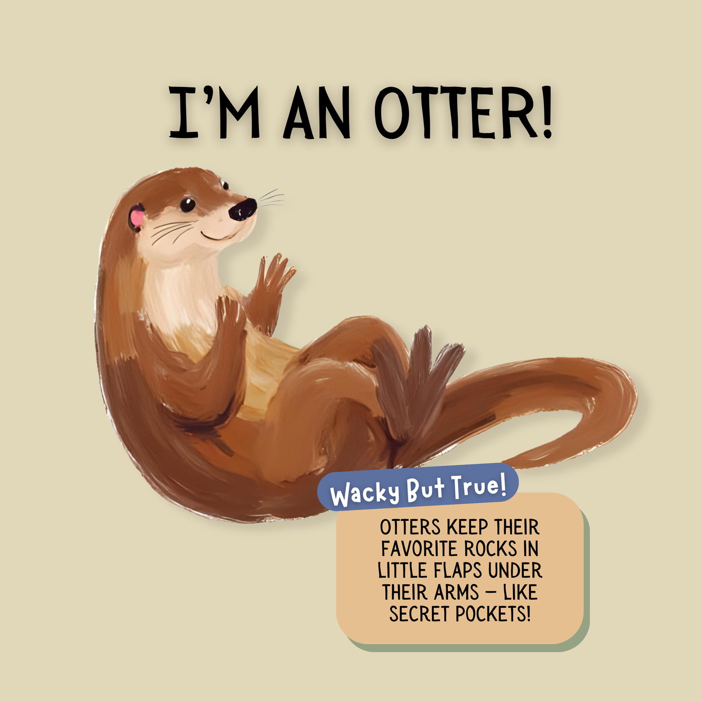 Search & Find - Animals in the Wild