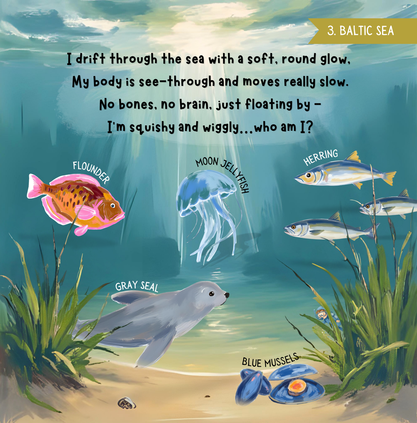 Search & Find - Ocean Animals