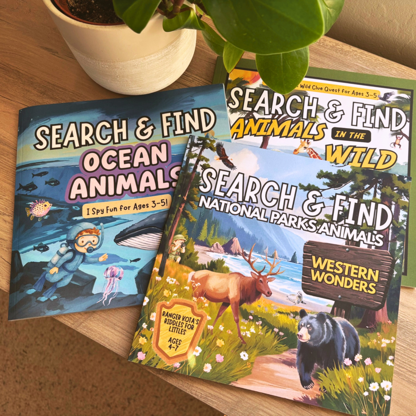 Kota Bear Books @ Campbell Chiropractic
